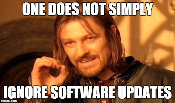 A meme showing Boromir from Lord of the Rings, with the text: One does not simply ignore software updates